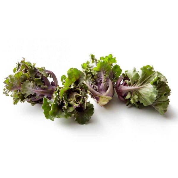 Produktfoto zu Kohl, Flower Sprouts