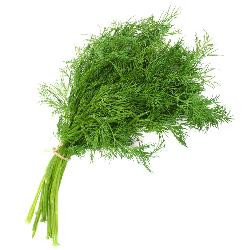 Produktfoto zu Dill im Bund