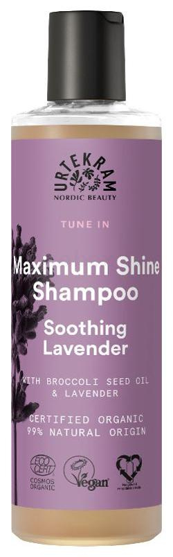 Produktfoto zu Lavendel Shampoo