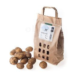 Produktfoto zu Kartoffeln, 2kg festkochend