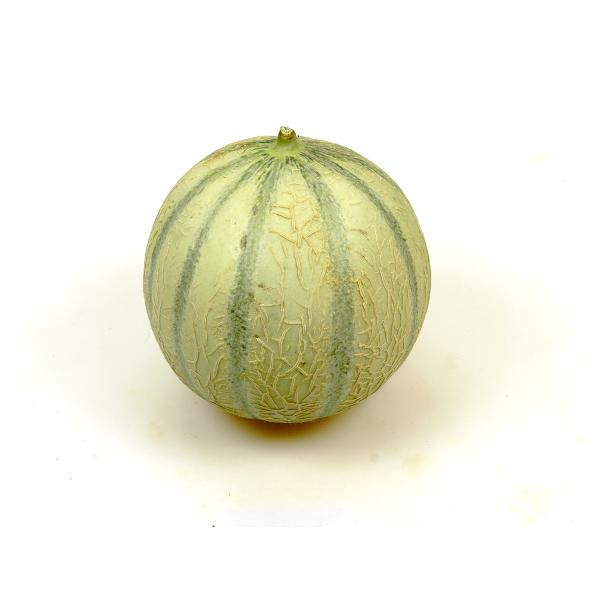 Produktfoto zu Melone, Cantaloupe