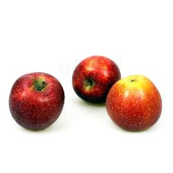 Produktfoto zu Apfel, Red Jonaprince