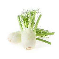 Produktfoto zu Fenchel