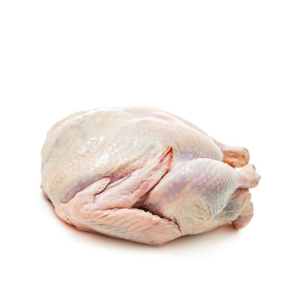 Produktfoto zu Gans, frisch