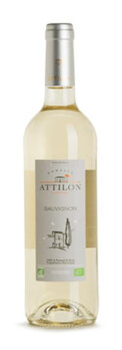 Produktfoto zu Sauvignon Blanc, 0,75l