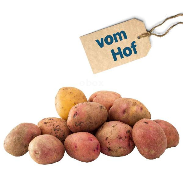 Produktfoto zu Kartoffeln, 1 kg rotschalig